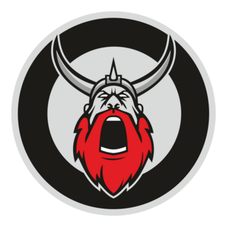 Viking Logo PNG Vector