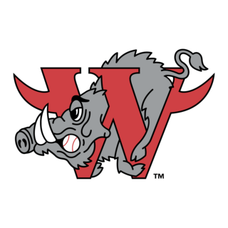 Winston Salem Warthogs Logo PNG Vector