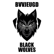 Bocholter VV Logo PNG Vector