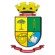 Brasão de Passo Fundo Logo PNG Vector