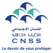 CNSS Logo PNG Vector
