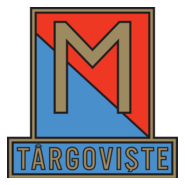 Metalul Targoviste (60's) Logo PNG Vector