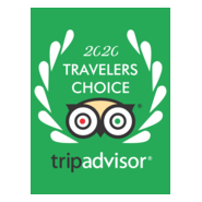 tripadvisor TRAVELERS CHOICE 2020 Logo PNG Vector
