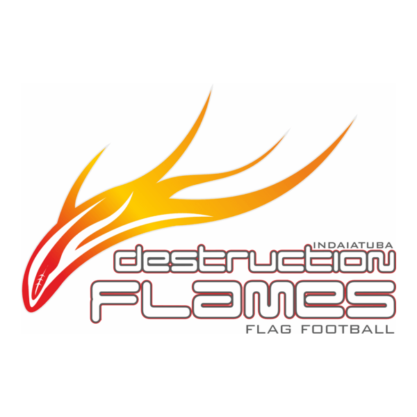 Destruction Flames Logo PNG Vector