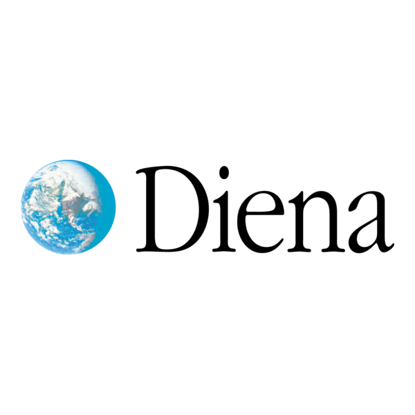 Diena Logo PNG Vector