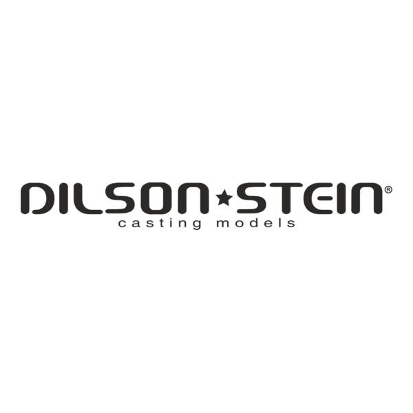Dilson Stein Casting Models Logo PNG Vector
