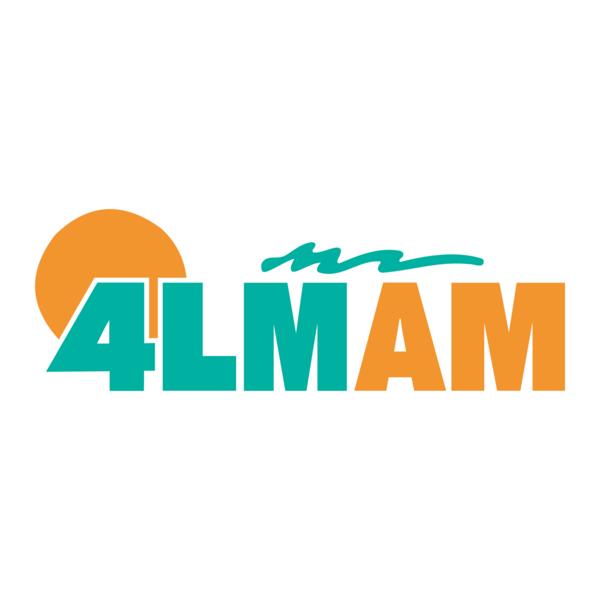 DMG 4LM Logo PNG Vector