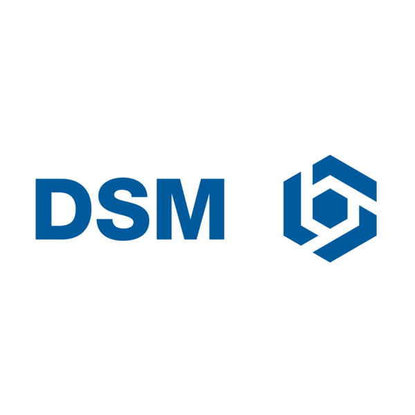 DSM Logo PNG Vector
