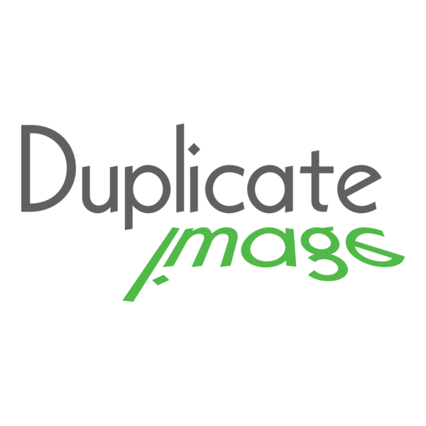 Duplicate Image Logo PNG Vector