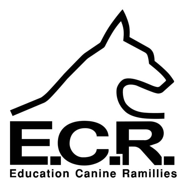 E.C.R. Logo PNG Vector