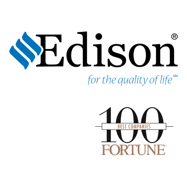 Edison Electric Logo PNG Vector