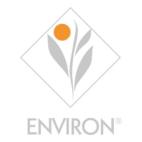 Environ Logo PNG Vector
