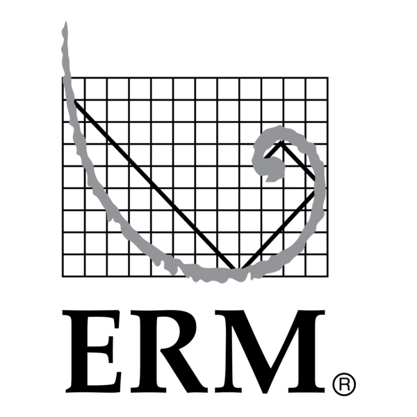 ERM Logo PNG Vector