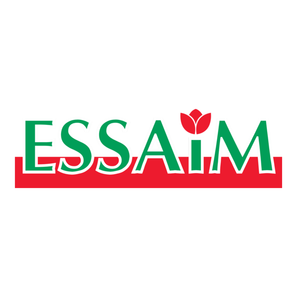 Essaim Logo PNG Vector
