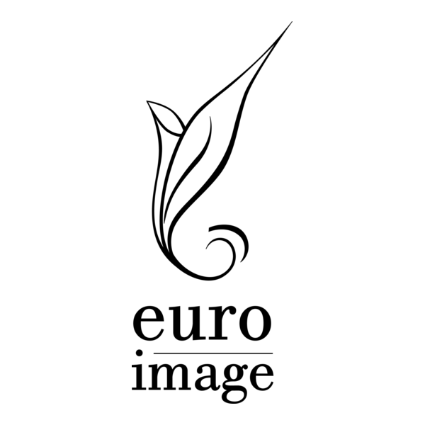euro image Logo PNG Vector