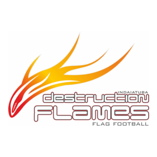 Destruction Flames Logo PNG Vector