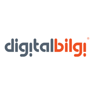 Digitalbilgi Logo PNG Vector