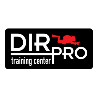 DIR-PRO training center Logo PNG Vector