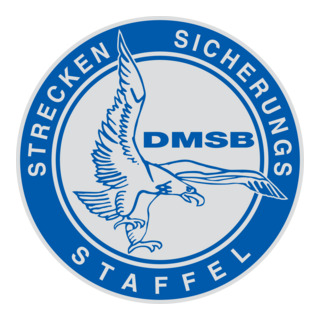 DMSB Logo PNG Vector