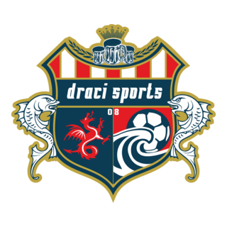 Draci Sports Soccer Logo PNG Vector