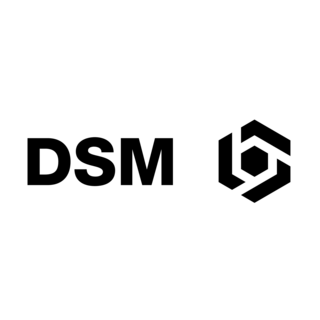 DSM Logo PNG Vector