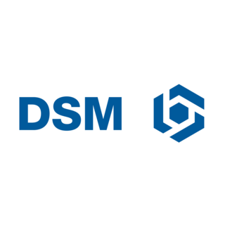 DSM Logo PNG Vector