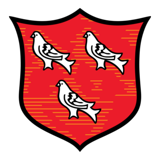 Dundalk FC Logo PNG Vector