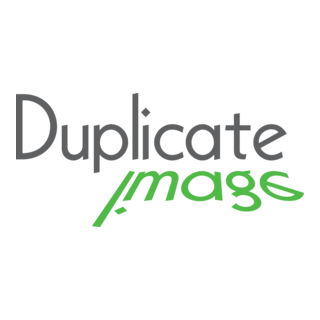 Duplicate Image Logo PNG Vector