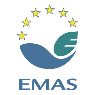 EMAS Logo PNG Vector