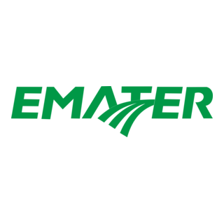 EMATER Logo PNG Vector