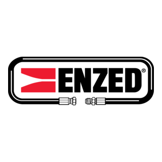 Enzed Logo PNG Vector
