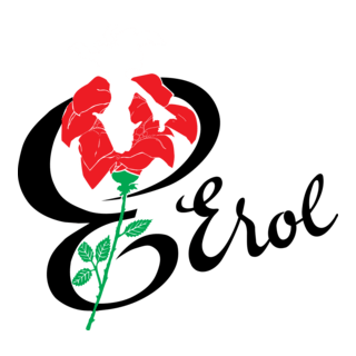 Erol Kundura Logo PNG Vector