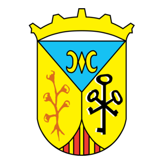 Escudo Ariany Logo PNG Vector