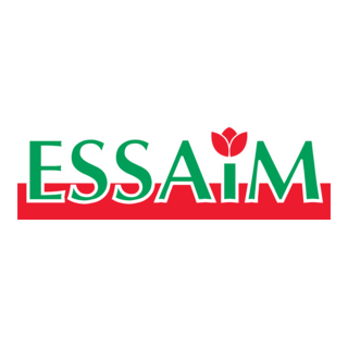 Essaim Logo PNG Vector