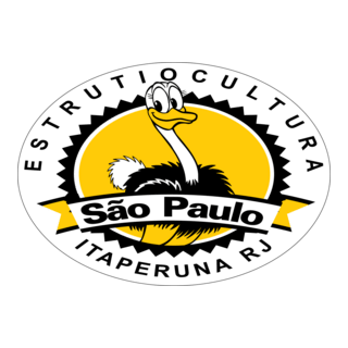 Estrutiocultura Sao Paulo Logo PNG Vector