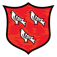 Dundalk FC Logo PNG Vector