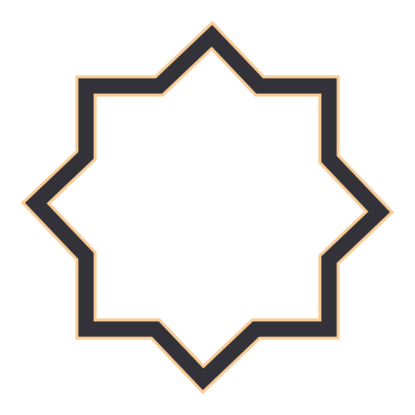 Abstract Star Logo PNG Vector