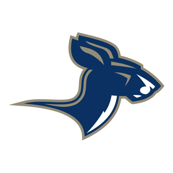 Akron Zips Logo PNG Vector
