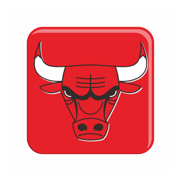 chicago bulls Logo PNG Vector