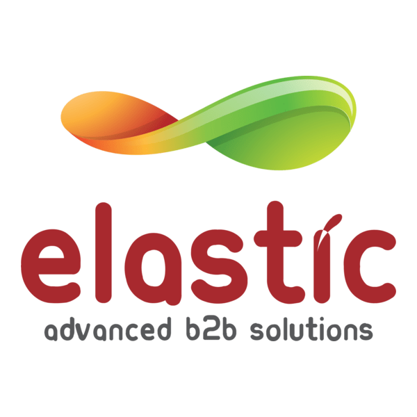 Elastic B2B Logo PNG Vector