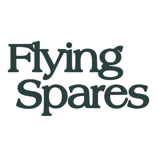 Flying Spares Logo PNG Vector