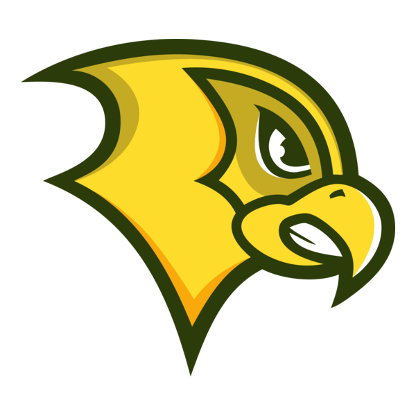 Golden Falcons Logo PNG Vector