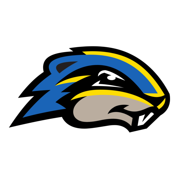 Goucher College Sports Logo PNG Vector