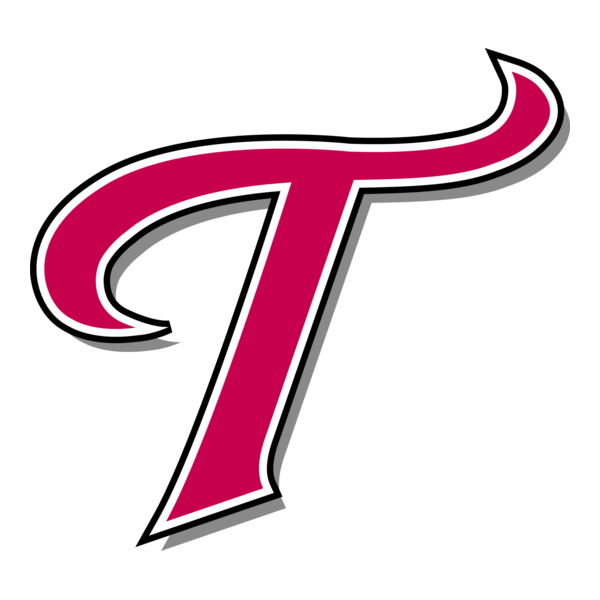 LG Twins Logo PNG Vector