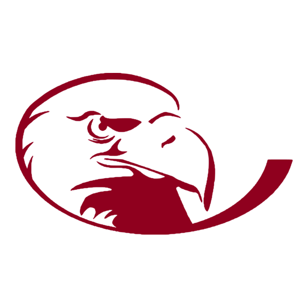 Lock Haven Bald Eagles Logo PNG Vector