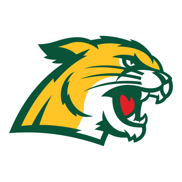 Northern Michigan Wildcats Logo PNG Vector