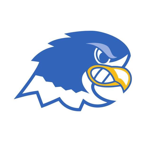 Notre Dame Falcons Logo PNG Vector