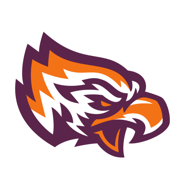 Post Eagles Logo PNG Vector