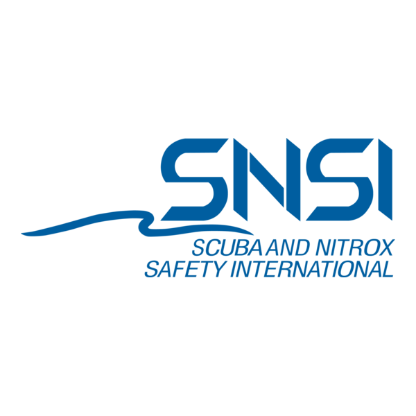 SNSI Logo PNG Vector