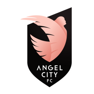 Angel City FC New 2021 Logo PNG Vector